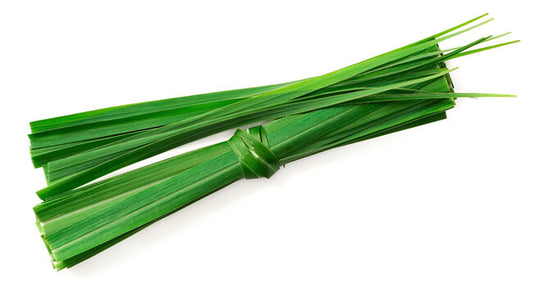 Lemon grass