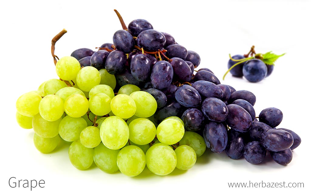 Grapes